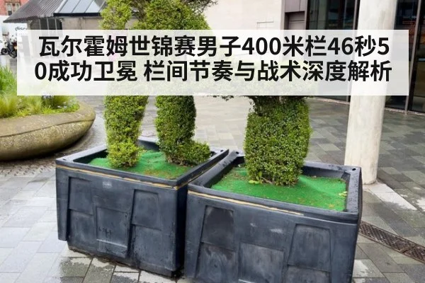 瓦尔霍姆世锦赛男子400米栏46秒50成功卫冕 栏间节奏与战术深度解析